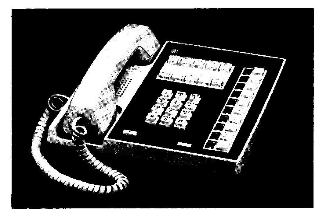 thetelephonebook_Page_101_Image_0001 2
